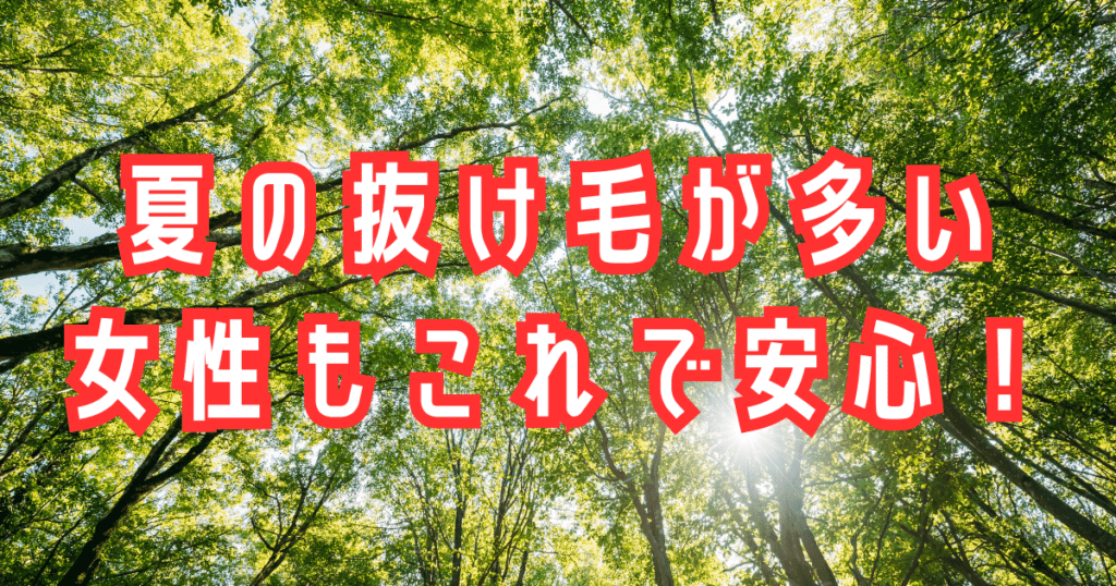 夏の抜け毛が多い女性もこれで安心