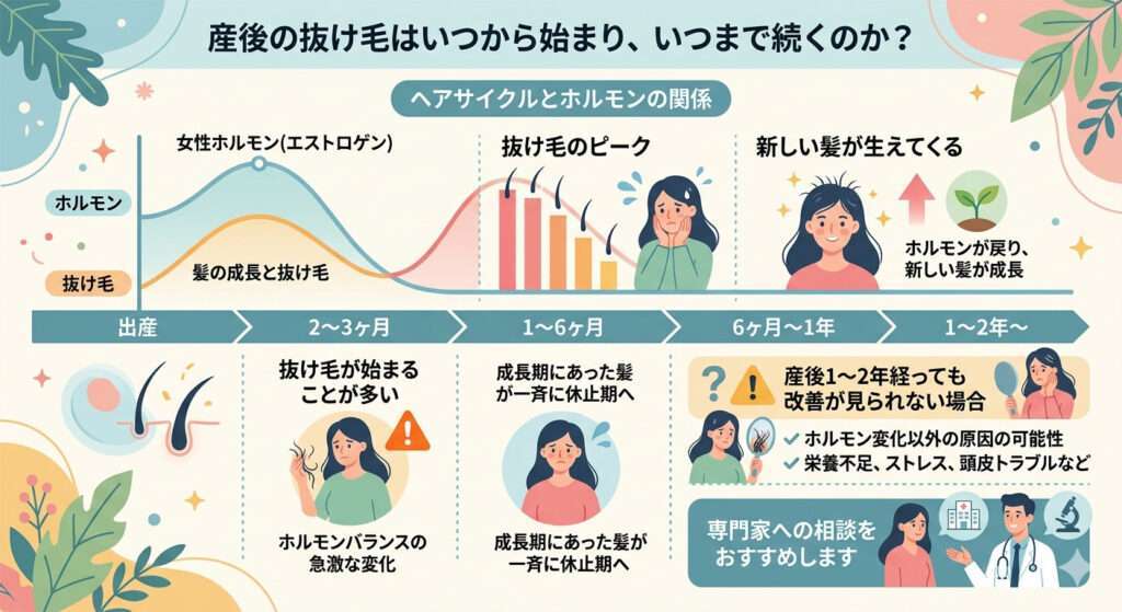 産後の抜け毛の始まりからを図にしました。