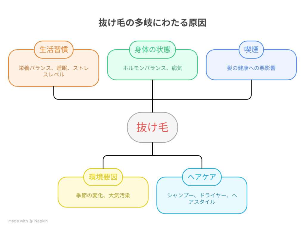 抜け毛の理由は様々です。そんな内容を図で解説しています。