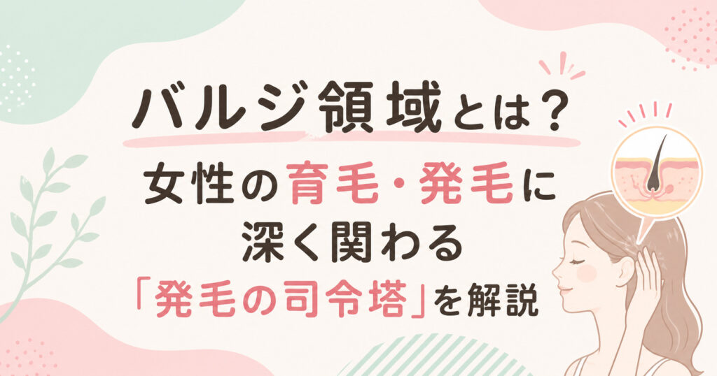 バジル領域とは？女性の育毛・発毛に深く関わる「発毛の司令塔」という内容を大阪市鶴見区薄毛に悩む女性専用サロンhitotema salonの中尾沙織が解説します。