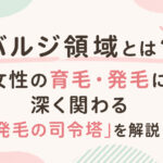 バジル領域とは？女性の育毛・発毛に深く関わる「発毛の司令塔」という内容を大阪市鶴見区薄毛に悩む女性専用サロンhitotema salonの中尾沙織が解説します。