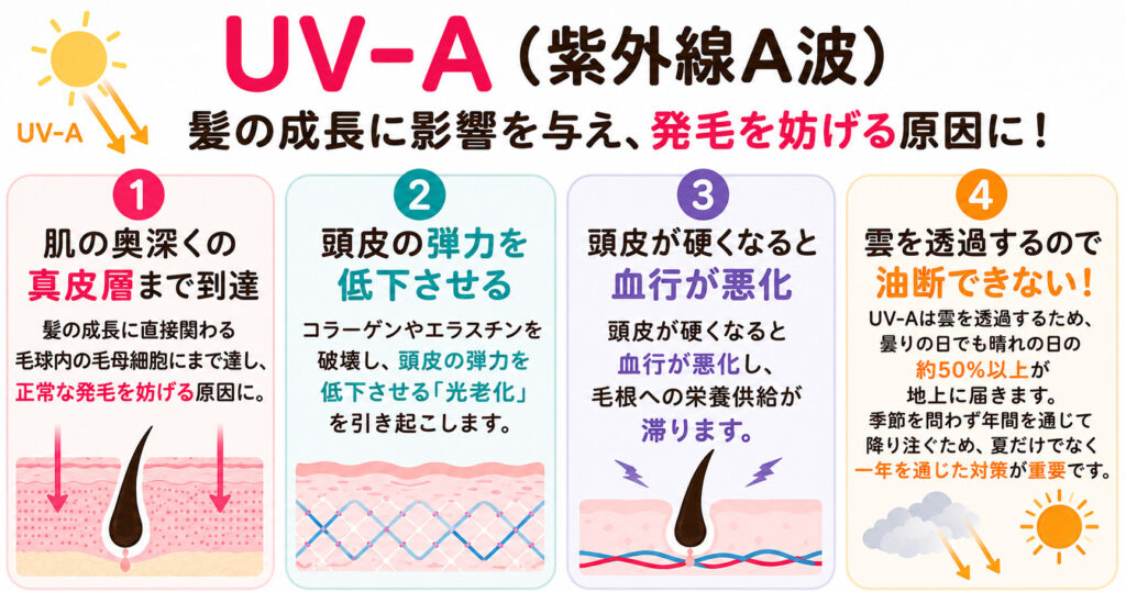 UV-A？UV-B？意外と知られていない紫外線の種類になります。それぞれの特徴を大阪市鶴見区薄毛に悩む女性専用サロンhitotema salonの中尾沙織が解説します。