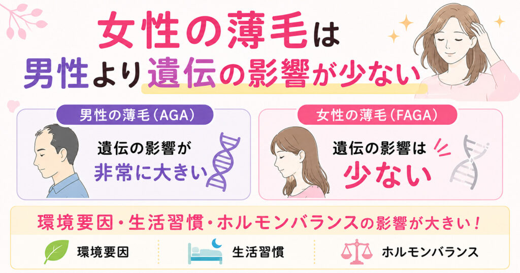 AGAとFAGAについての説明。女性の薄毛は男性より遺伝の影響が少ないを図で解説。