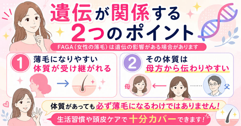 遺伝のポイントは2つに分かれます。図で解説しております。