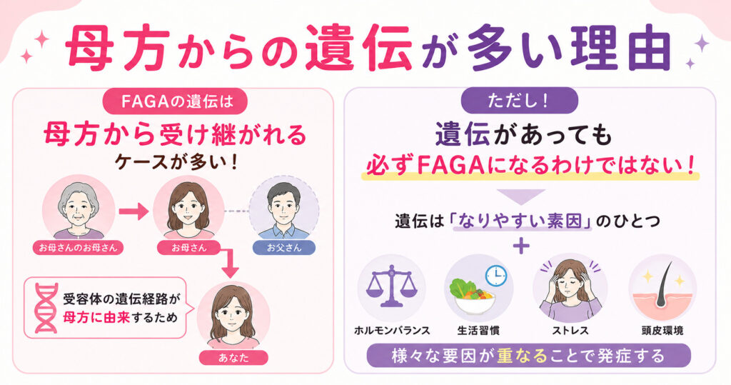 ＦＡＧＡにおける遺伝は母方から受け継がれるケースが多いです。しかし必ずＦＡＧＡになるわけではありません！