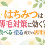 はちみつは薄毛対策に効く？食べる・塗る両方の活用法